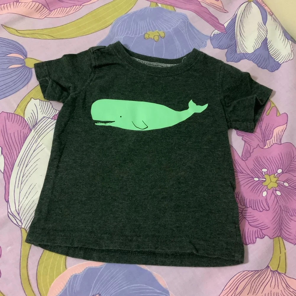 EUC Toddler Boy Lot 6 Pz 3 sets shorts & Tees Carter’s 18M
